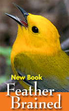 Bob's New Book! Feather Brained